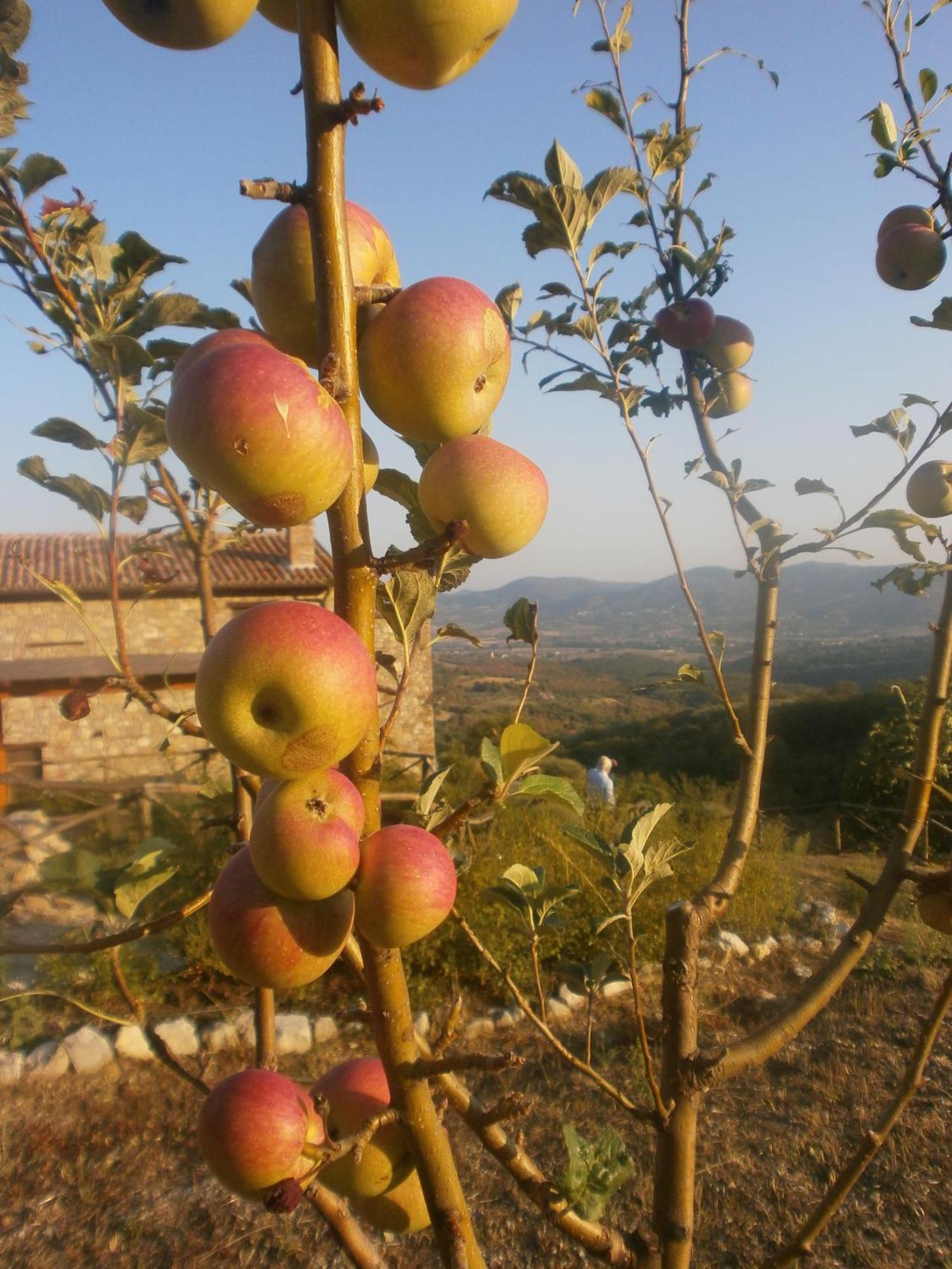 Tavernelle I Casali Di Colle San Paolo别墅 外观 照片