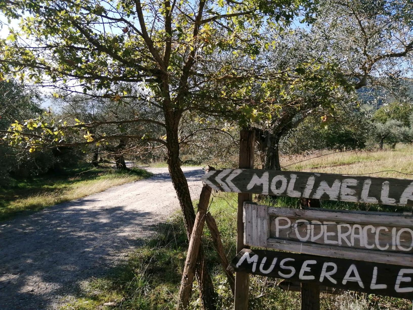 Tavernelle I Casali Di Colle San Paolo别墅 外观 照片