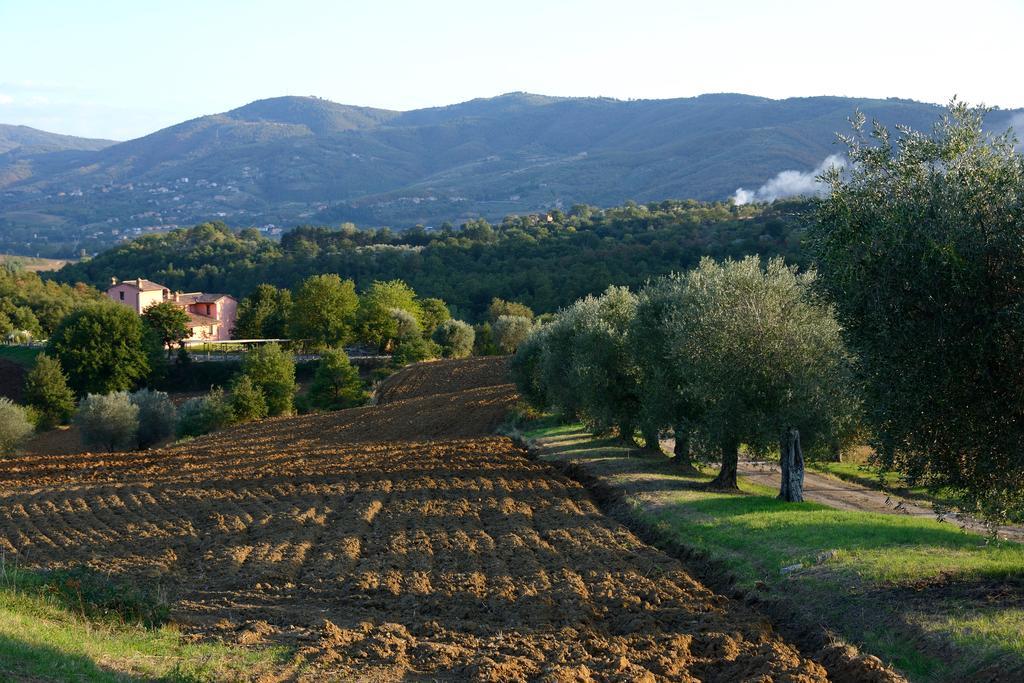 Tavernelle I Casali Di Colle San Paolo别墅 外观 照片