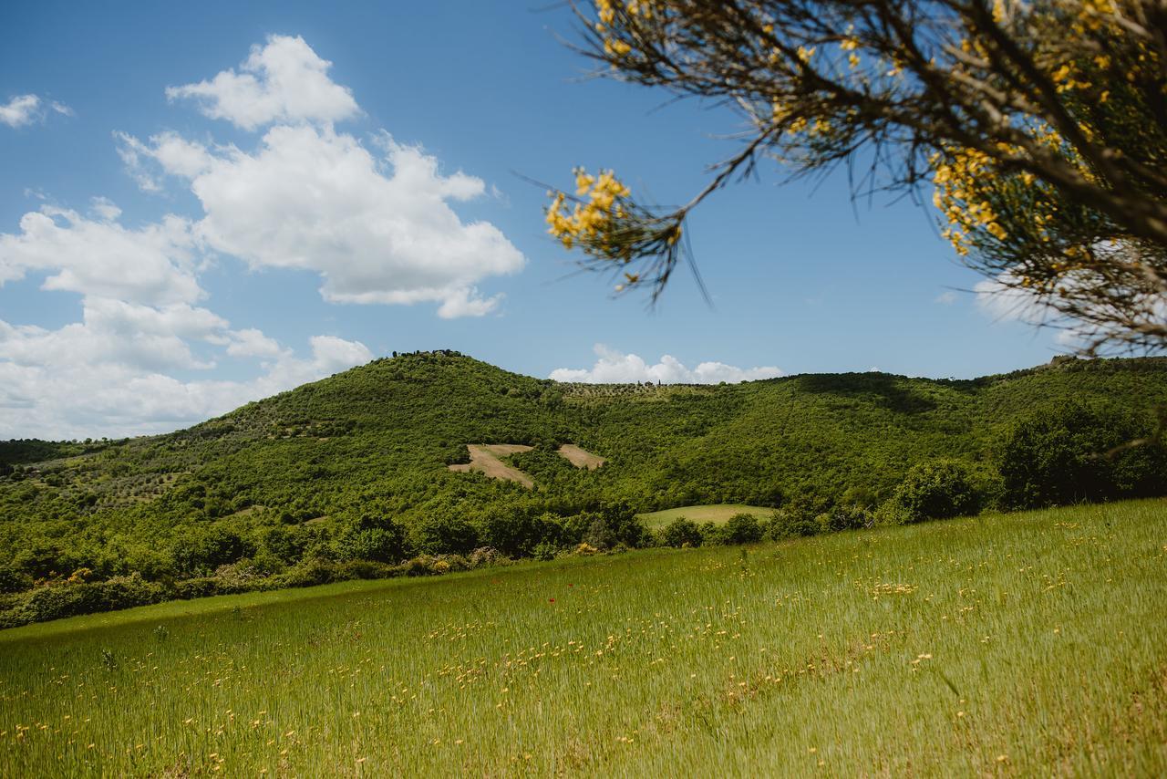 Tavernelle I Casali Di Colle San Paolo别墅 外观 照片