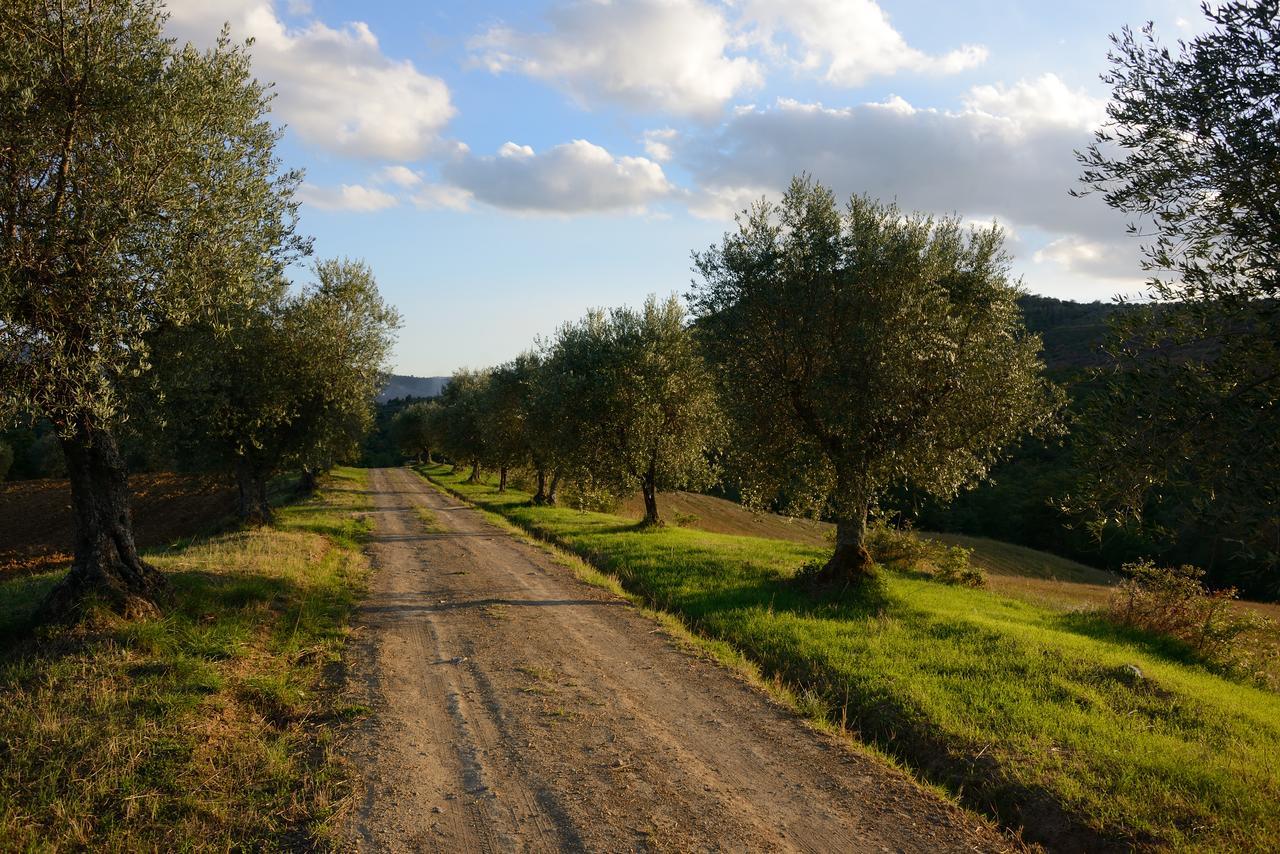 Tavernelle I Casali Di Colle San Paolo别墅 外观 照片
